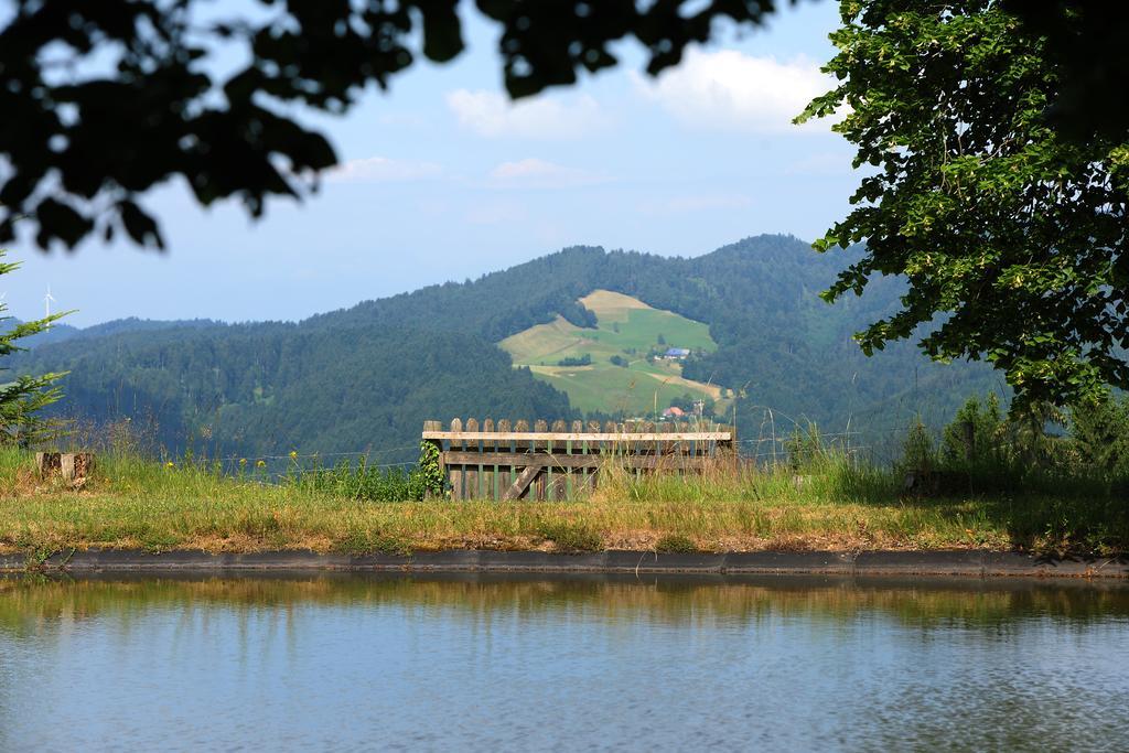 Haus Maria Lindenberg Hotel แซงค์ตปีเทอร์ ภายนอก รูปภาพ
